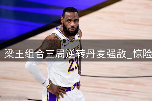 梁王组合三局逆转丹麦强敌 惊险晋级世锦赛男双八强