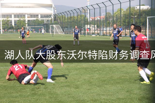 湖人队大股东沃尔特陷财务调查风波 旗下保险公司涉嫌违规操作