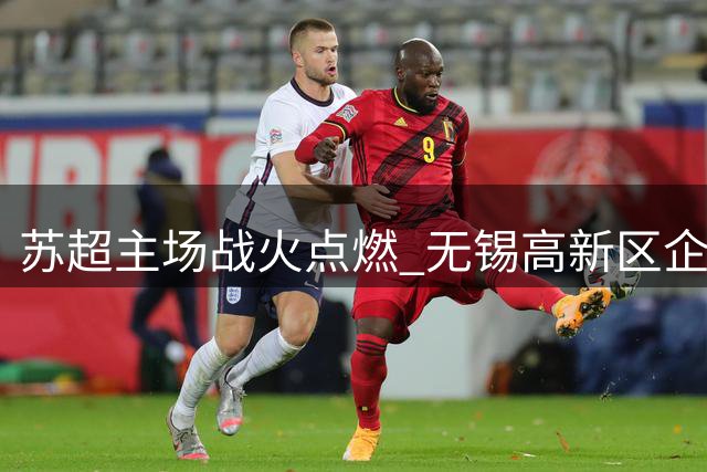 苏超主场战火点燃 无锡高新区企业闪耀助阵
